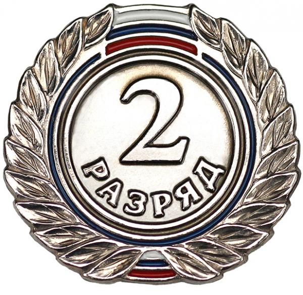Значок 2 разряд / 79950