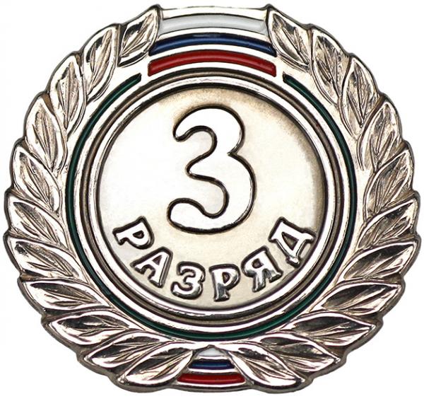 Значок 3 разряд / 79951