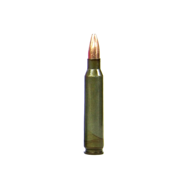 Учебный патрон 5,56х45 (223.REM NATO) / АК74