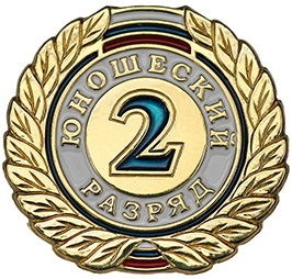 Значок юношеский 2 разряд / 79946