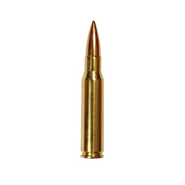 Учебный патрон 7,62х51 (.308 NATO) / АК74