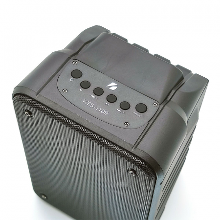 Портативная колонка Bluetooth KTS-1109 (micro SD, USB, FM, 10W)