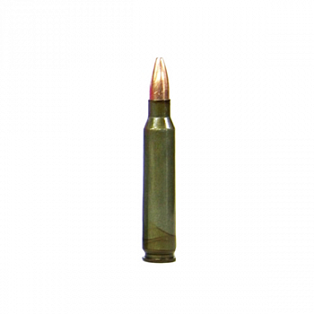 Учебный патрон 5,56х45 (223.REM NATO) / АК74