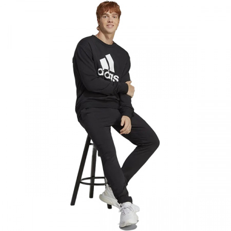 Брюки спортивные мужские Adidas (M SL SJ TO PT) р. S / IC9409